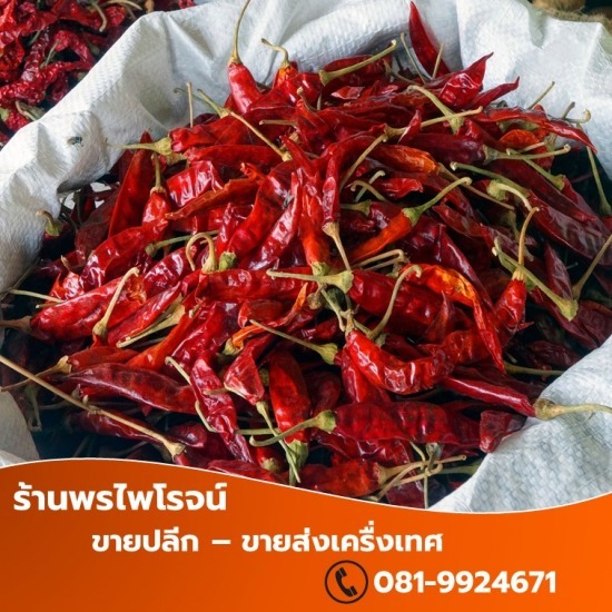 เครื่องเทศ เชียงใหม่ - พรไพโรจน์ - ขายส่งพริกแห้ง