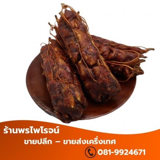 เครื่องเทศ เชียงใหม่ - พรไพโรจน์ - มะขามเปียก ราคาส่ง